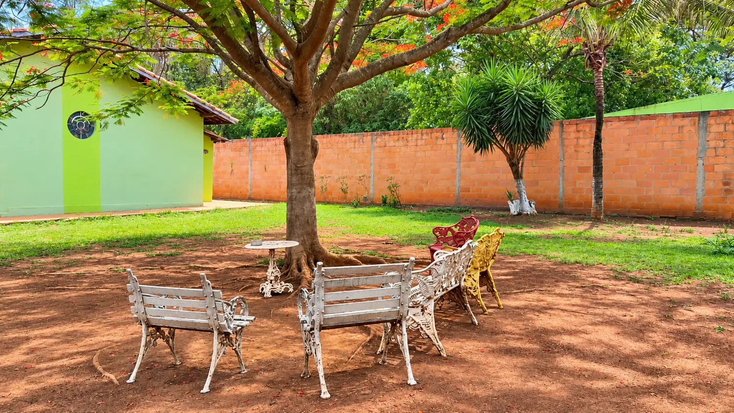 Jardim com árvore e bancos